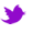 Follow me on Twitter